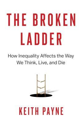 Book cover of The Broken Ladder by Keith Payne