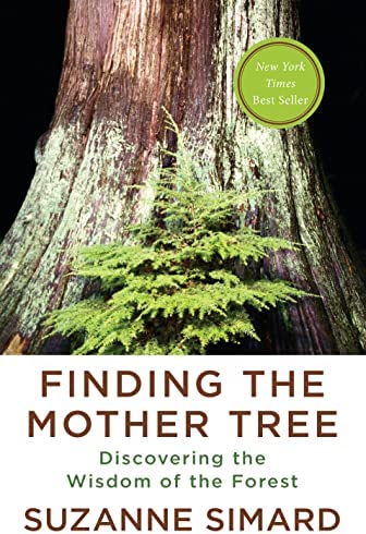 Finding the Mother Tree cover