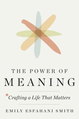 The Power Of Meaning cover