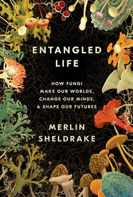 Entangled Life cover