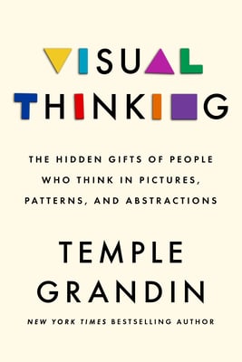 Visual Thinking cover