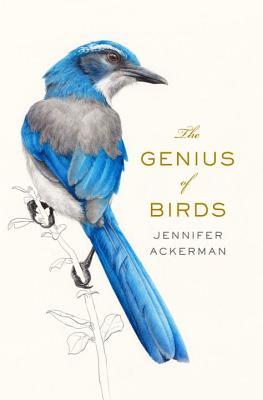 Book cover of The Genius of Birds by Jennifer Ackerman