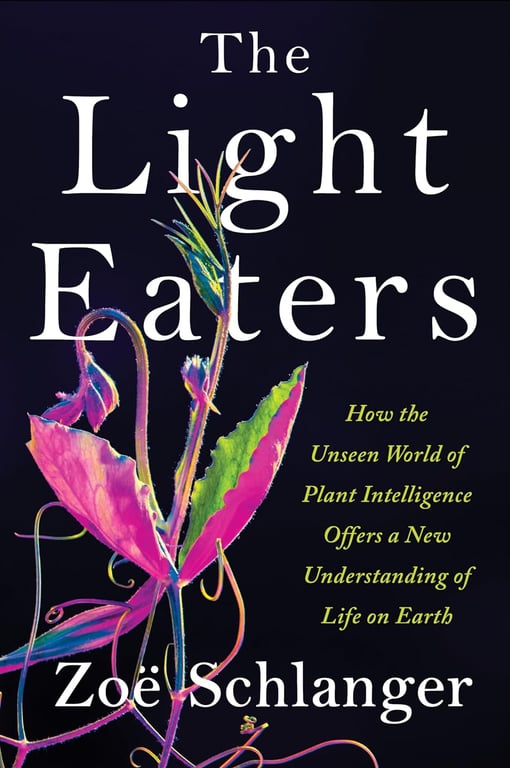 Book cover of The Light Eaters by Zoë Schlanger