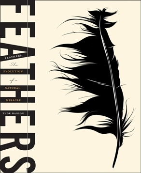 Book cover of Feathers by Thor Hanson