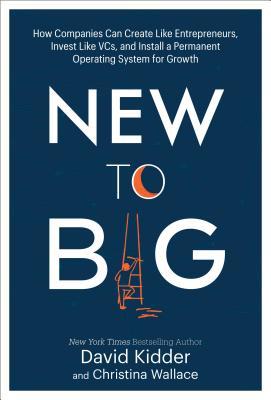 Book cover of New to Big by David S. Kidder