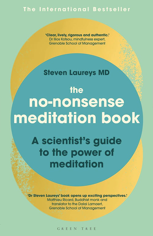 The No-Nonsense Meditation Book cover