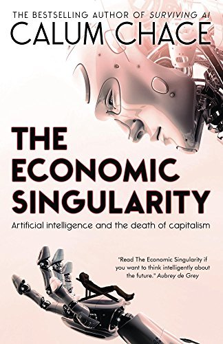 The Economic Singularity cover