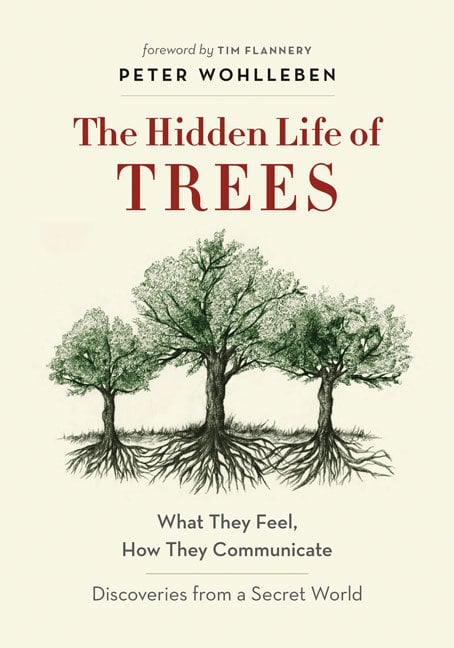 Book cover of The Hidden Life of Trees by Peter Wohlleben