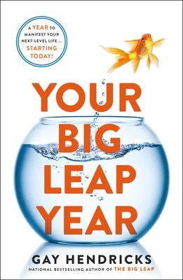 Your Big Leap Year cover