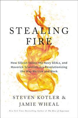 Book cover of Stealing Fire by Jamie Wheal