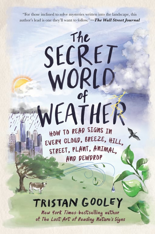 Book cover of The Secret World of Weather by Tristan Gooley