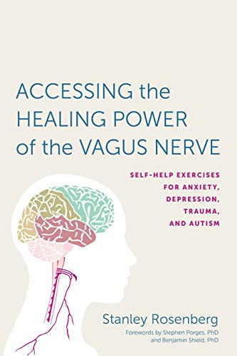 Book cover of Accessing the Healing Power of the Vagus Nerve by Stanley Rosenberg