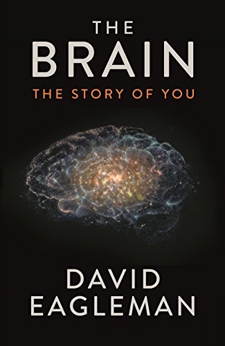 Book cover of The Brain by David Eagleman