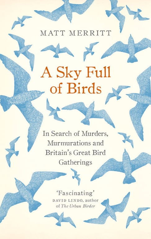 Book cover of A Sky Full of Birds by Matt Merritt