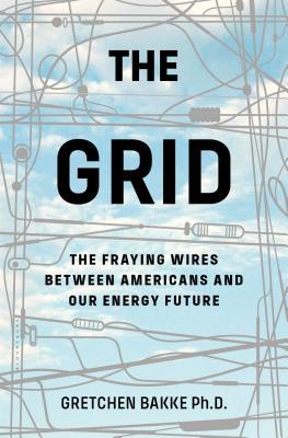 Book cover of The Grid by Gretchen Bakke