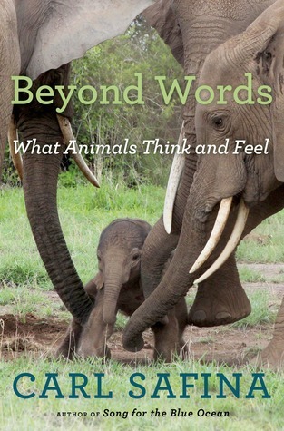 Book cover of Beyond Words by Carl Safina