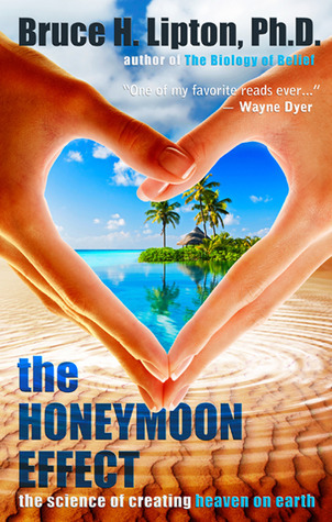 The Honeymoon Effect cover